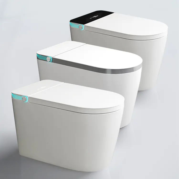 ceramic smart toilet S109W