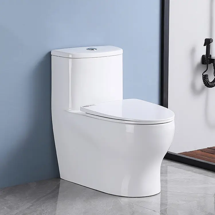 elongated one-piece toilet 8-550